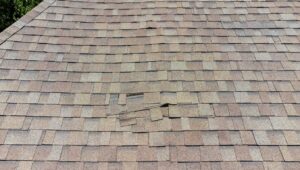 early signs of roof damage