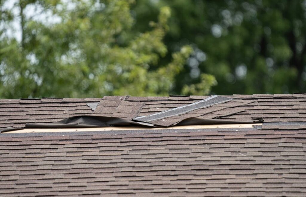 roof damage signs